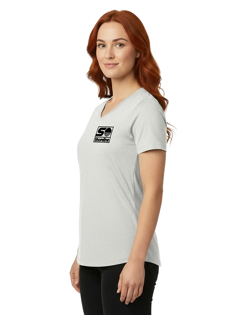 Bella + Canvas Women's Relaxed Heather CVC V-Neck Tee